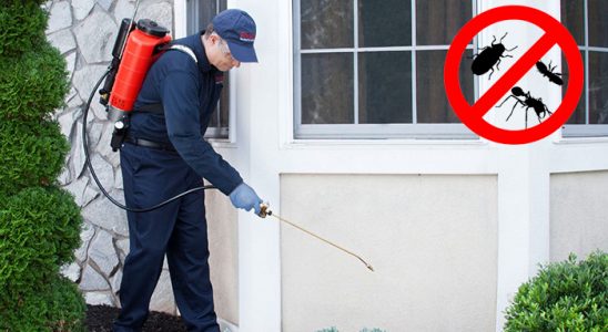 Altınova Gümüşkurt İlaçlama böcek ilaçlama ve haşere kontrolü — ilaclama-tr.com